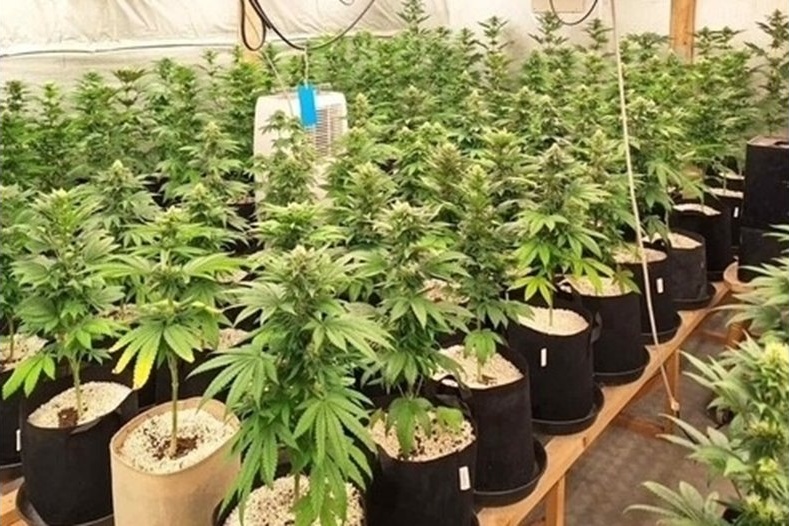 Спипаха шофьор с близо 3 промила алкохол в Пловдивско: Влиза в затвора и заради марихуана