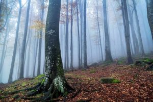 „Път до мощите на Свети Йоан Кръстител“ – нов духовен маршрут свързва Странджа и Созопол