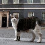 15 години на „Даунинг стрийт“ 10: Премиерите се сменят, но котаракът Лари остава