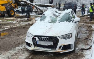 Тежък сняг събори дървета в Пловдив: Пет автомобила са смазани в район „Южен“