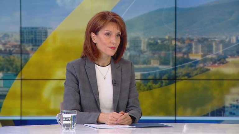 Камелия Нейкова: Решението за секциите в чужбина е политическо Камелия Нейкова: Решението за секциите в чужбина е политическо