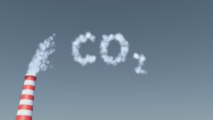 Въглеродният отпечатък: Защо мъжете влияят повече на климата от жените?