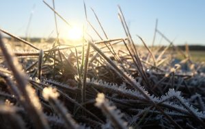 Пролетни температури до 13 градуса днес, облачността се увеличава следобед