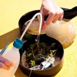 Микропластмасите: Невидимата заплаха за природата и нашето здраве