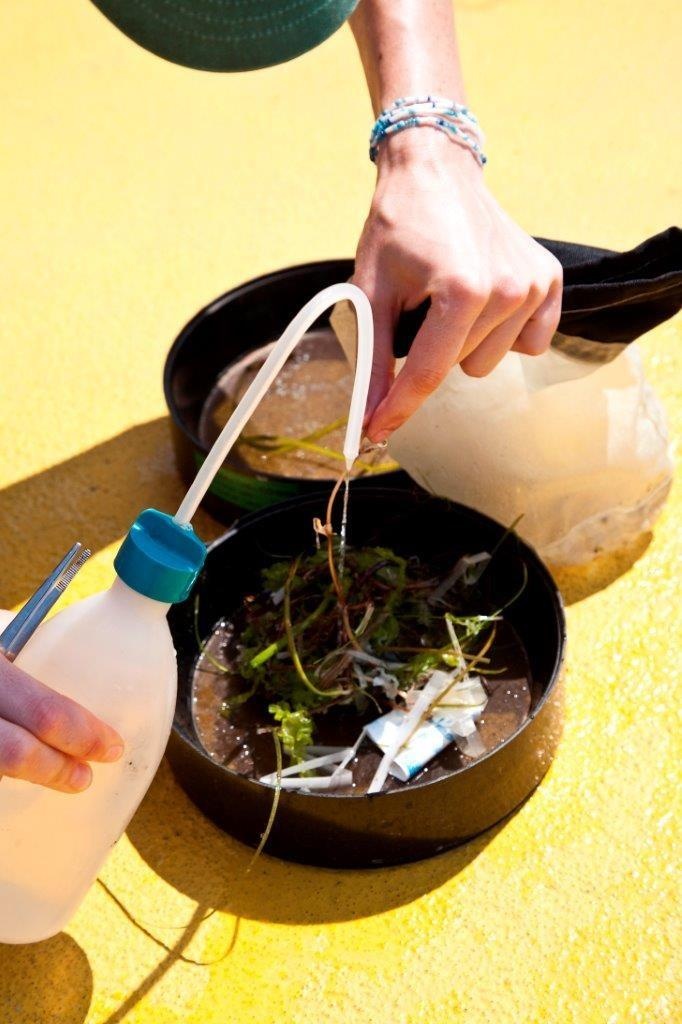 Микропластмасите: Невидимата заплаха за природата и нашето здраве