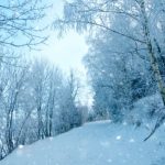 Снежна блокада в Словения: Десетки хиляди домакинства останаха без ток