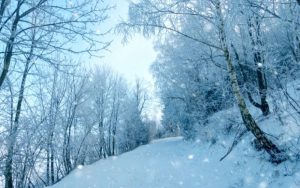 Снежна блокада в Словения: Десетки хиляди домакинства останаха без ток