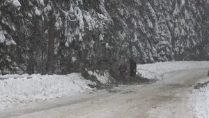 Обстановката в Смолянско се нормализира след обилните валежи и преливане на язовири