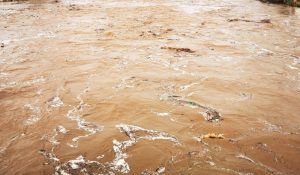 Опасност от преливане на река Черни Лом застрашава три села в Русенско