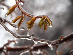Особено студено време и повсеместни снеговалежи обхващат страната