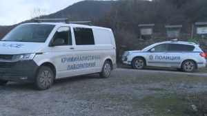 ПП стартира петиция за международно разследване на случая „Петрохан“