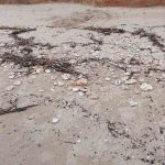 Екологична тревога: Нефтопродукти замърсиха плажовете от Крапец до Езерец