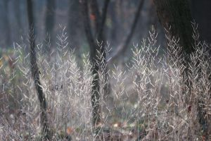 Времето в сряда: Затопляне и валежи от дъжд обхващат страната