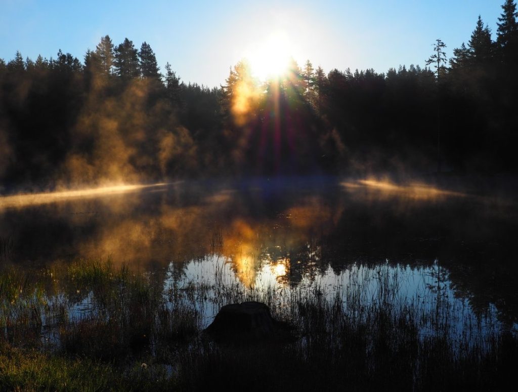 Прогноза за времето: Температурите се повишават значително през новата седмица