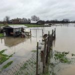 Община Димитровград обяви частично бедствено положение заради наводнения и преляла река