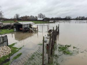 Община Димитровград обяви частично бедствено положение заради наводнения и преляла река