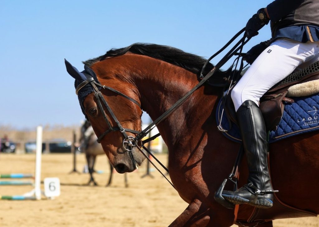 Празнуваме Тодоровден: Традиции, кушии и поверия за Конския Великден