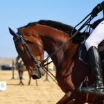 Празнуваме Тодоровден: Традиции, кушии и поверия за Конския Великден