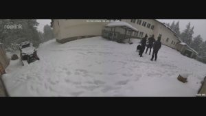 МВР разследва „експресните“ разрешителни за оръжие на Калушев и хората му