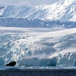 Птичият грип застрашава фауната на Антарктида