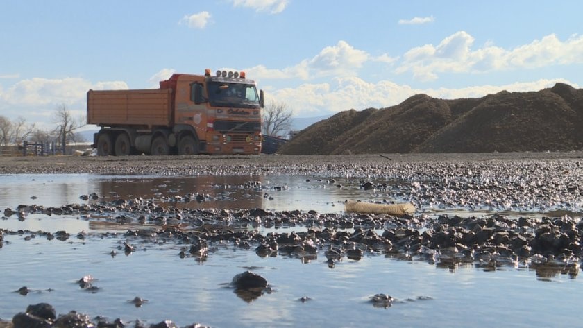 Сигнал за "такса спокойствие" от 300 000 лева в Долни Богров стигна до МВР и прокуратурата