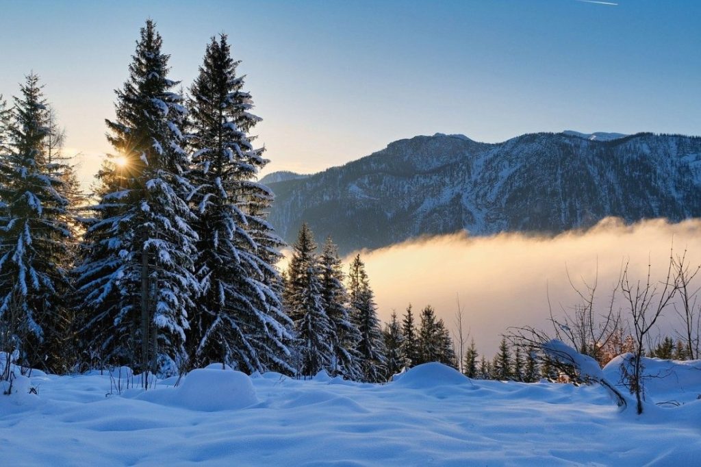 Прогноза за времето: Слънчеви дни и затопляне до 19 градуса за 3 март