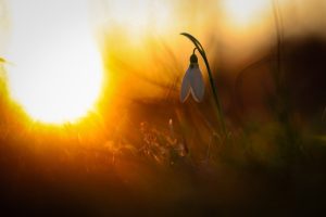 Слънчево време през почивните дни: Температурите достигат до 15 градуса