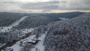 Разследването „Петрохан“: МВР проверява разрешителните за оръжие на жертвите