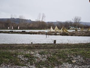 Река Тунджа заля индустриалната зона на Казанлък: Скъсани диги и критична ситуация при рибарниците