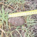 Военни специалисти унищожиха корозирала ръчна граната, открита в Бургас