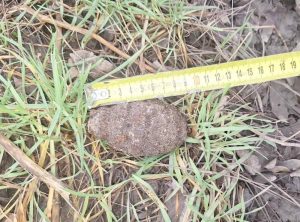 Военни специалисти унищожиха корозирала ръчна граната, открита в Бургас