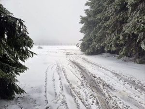 Зимен хаос в Северозапада: Аварирали тирове и катастрофи блокираха ключови пътища