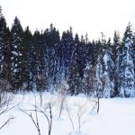 Валежи от дъжд и сняг, силен вятър и сериозни температурни промени в цялата страна