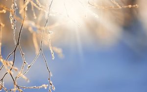 Застудяване и сняг обхващат България: Прогноза на НИМХ за седмицата