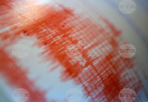 Земетресение с магнитуд 4,2 по Рихтер разтърси окръг Хатай в Южна Турция