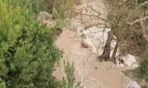 Мощна буря потопи района на Лариса: Гърция е в плен на наводнения и червен код