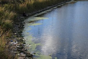 Екологична катастрофа в Босна: Тонове боклуци превзеха река Дрина