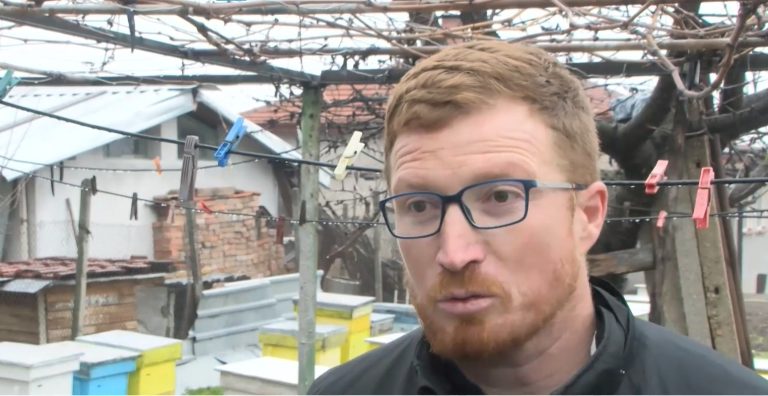 Пчелари от Хасково с надежда за по-висок добив на мед през новия сезон