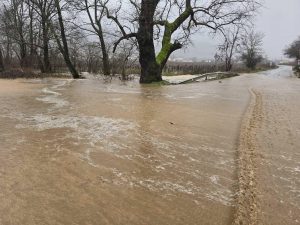 Интензивни валежи и силни ветрове предизвикаха сериозни проблеми в Южна България