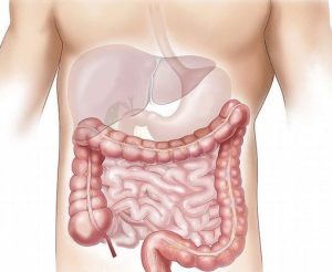 Обичайни лекарства променят чревния микробиом години след спирането им