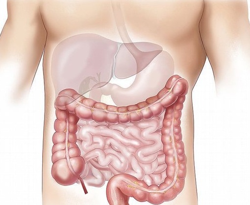 Обичайни лекарства променят чревния микробиом години след спирането им
