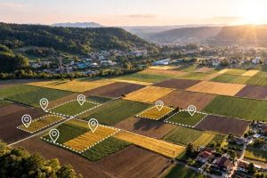 Агрион стартира търгове за отдаване на земеделска земя под наем и аренда