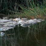 10 критични граници за оцеляването на човечеството: Учените добавят нов риск