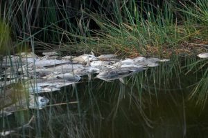 10 критични граници за оцеляването на човечеството: Учените добавят нов риск