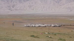 КМГ: Мащабни здравни реформи в Китай подобряват живота в отдалечените райони