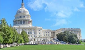 Антивоенен демонстрант бе ранен на Капитолия при спречкване със сенатор Тим Шийхи