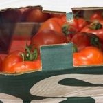 Митничари на МП Лесово разкриха 16 тона недекларирани зеленчуци в камион с плодове