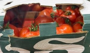 Митничари на МП Лесово разкриха 16 тона недекларирани зеленчуци в камион с плодове