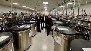 Раждане и съхранение на стволови клетки с Future Health: Гаранция за сигурност и иновации