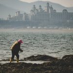 Глобално проучване: Изкуствени химикали замърсяват целия световен океан